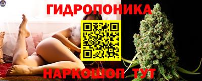 сатива Кунгур