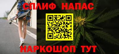 сатива Кунгур