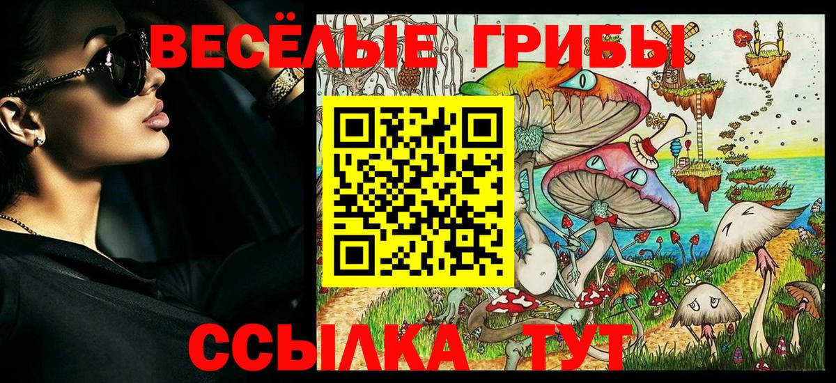 Карачаевск  Галлюциногенные грибы MAGIC MUSHROOMS  Вход с VPN 