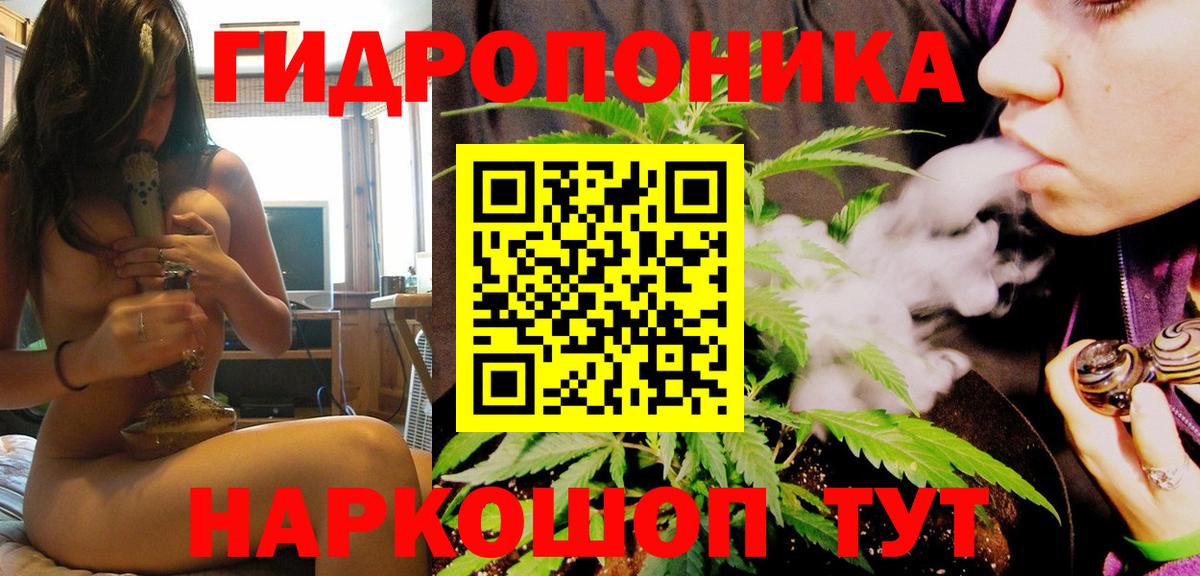 Конопля VHQ  Шишки марихуана Bruce Banner  Карачаевск  Вход с VPN  Канабис сатива 